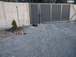 2-    10    ! 🌿  7