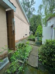 🌳 �������� ����� ������ � ����� ��������� � �. ������� ���� 7