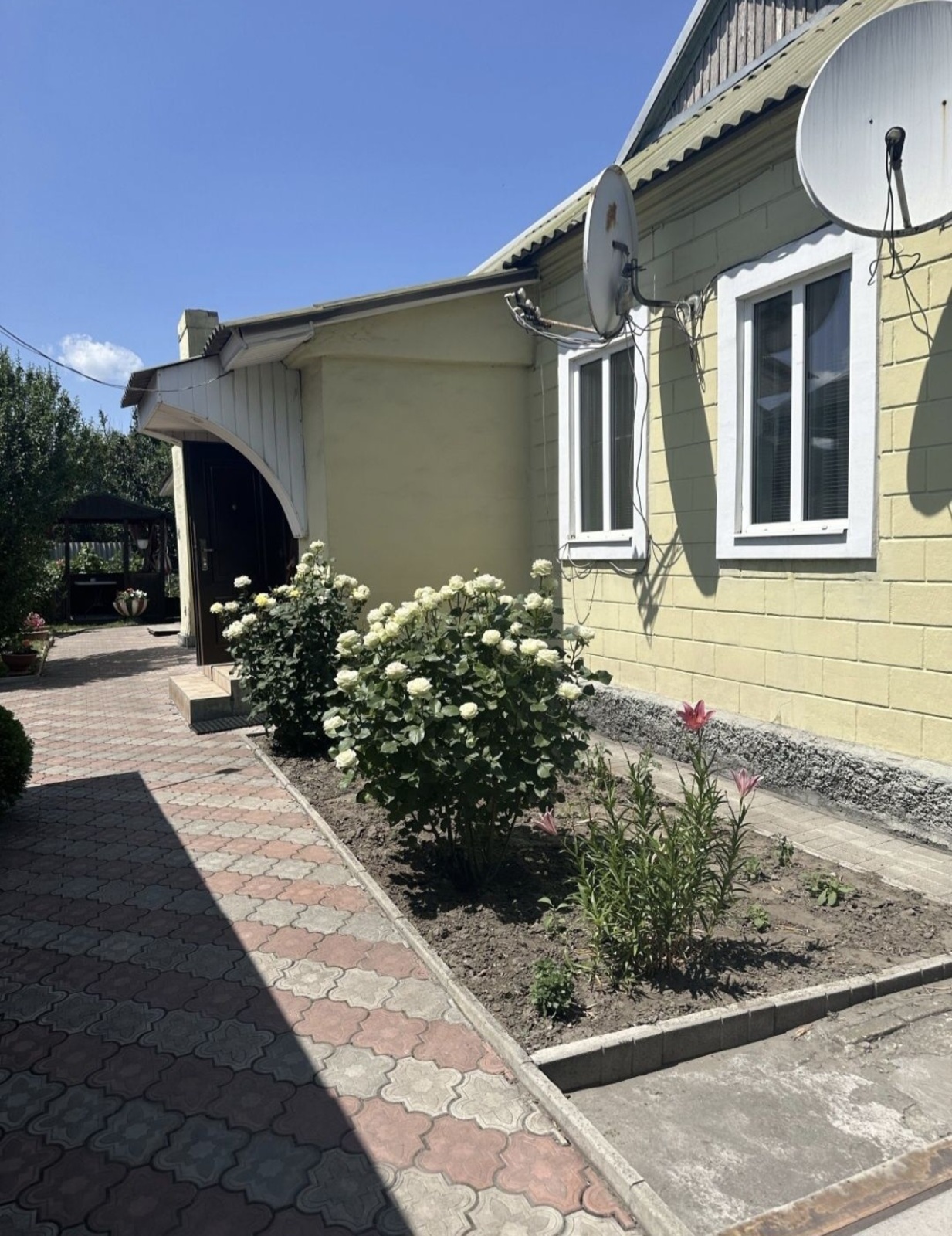 ������ ��� ����� 10 ����� ���� 1