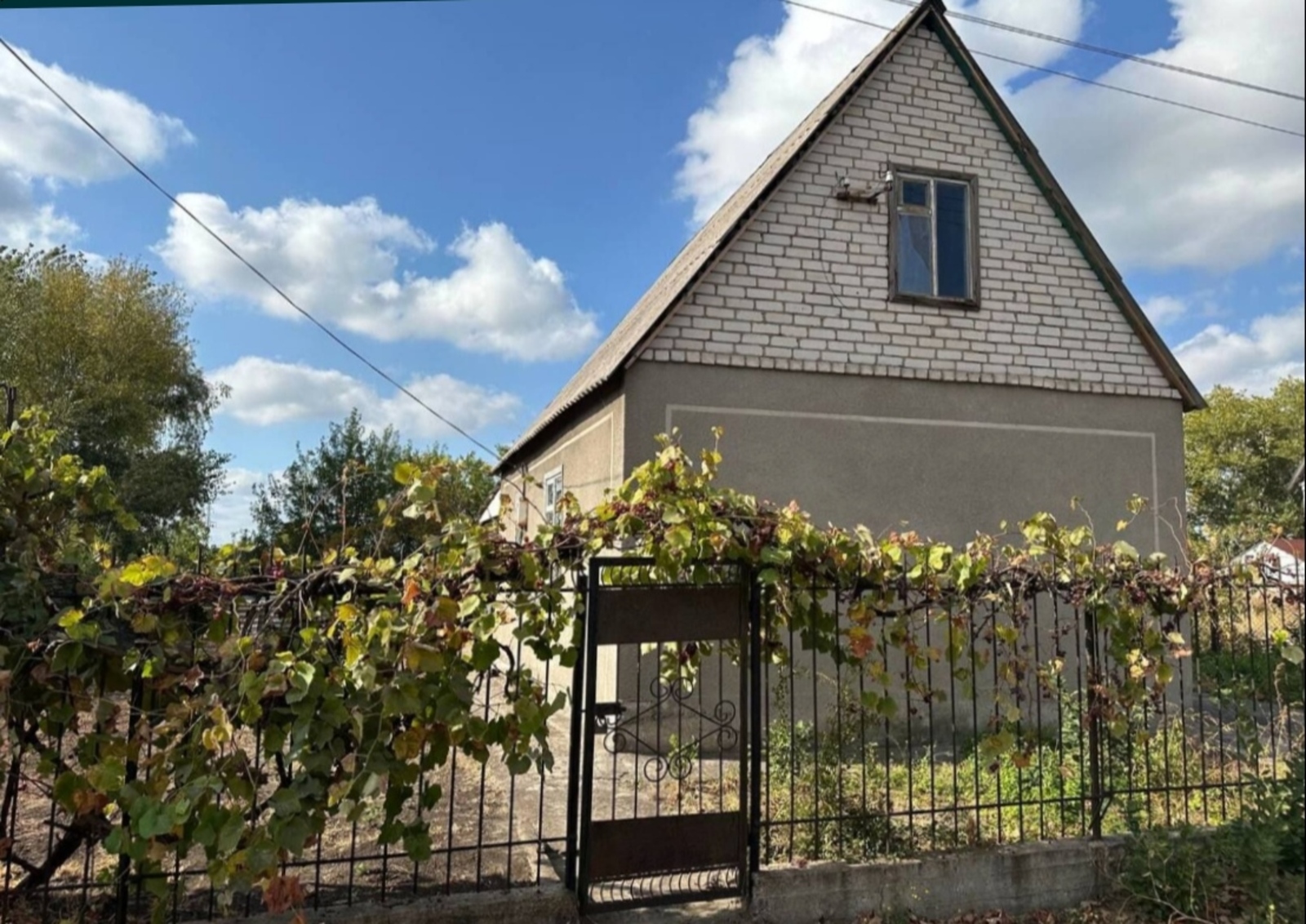 ������ ���� �� ������� ���� 1