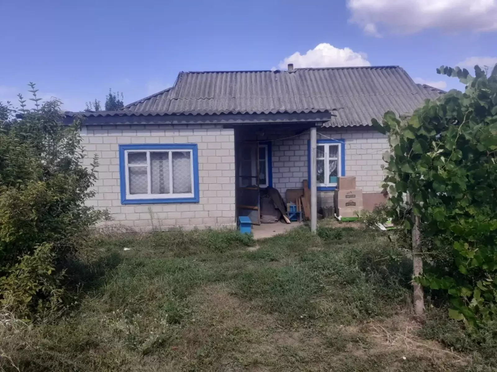 ������ ������� � ����� ���� 1