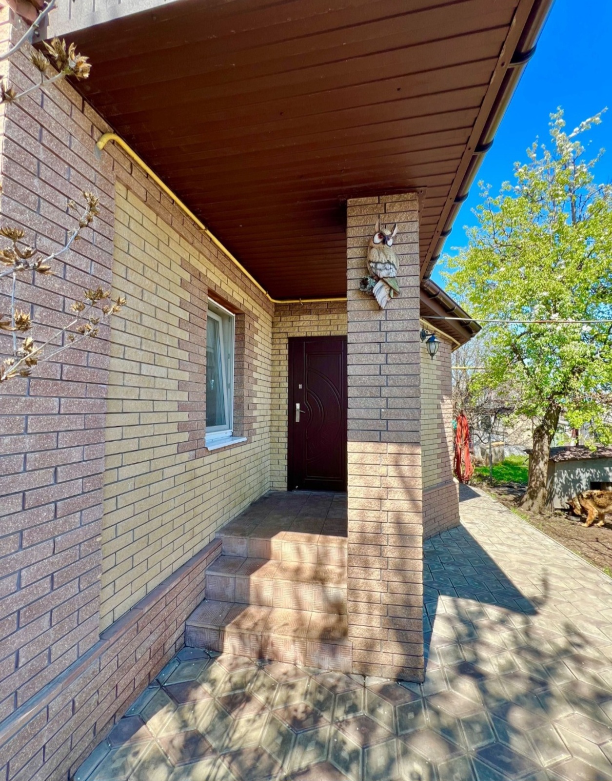 ��������� ���� 1