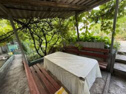 ������ ���� � �� ������� (���������). ���� 23