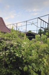 ������� ���� �� ����! ���� 13