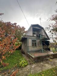 ������ ���� �� ����� ���� 3