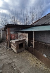 ������ ������� ����� ������ ���� 4