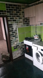 ТЕРМІНОВО ПРОДАМ БУДИНОК. 25000$ ,ТОРГ, сертифікати , євідновоення .. фото 9 ТЕРМІНОВО ПРОДАМ БУДИНОК. 25000$ ,ТОРГ, сертифікати , євідновоення .. фото 9