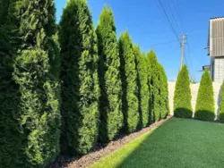 Дом Дача Калоша Прогрес нижний фото 1 Дом Дача Калоша Прогрес нижний фото 1