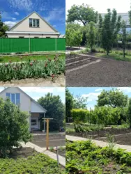 ������ ������� �������� �������, �-���������� ���� 1