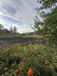 ������ ���� �.� ������ ���� 15