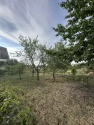 ������ ���� �.� ������ ���� 8