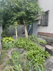 ������ ���/����,������� ����� �/� ��������� ���� 14