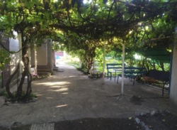 Продается дом в Елизоветовке фото 4 Продается дом в Елизоветовке фото 4