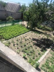 ������ �������� ������ � ������ ���� 11