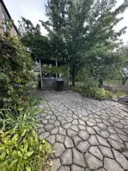 ������ ���� �.� ������ ���� 5