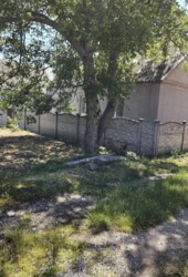 ������� ���� �� ����! ���� 2