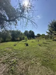 ������ ���� �.� ���������� ���� 12