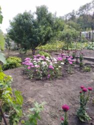 ������ ������� ���������. ���� 19