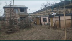 ���� 2�.��.���������� ������� ���� 10