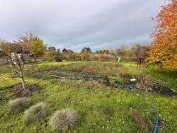 ������ ���� �� ����� ���� 5