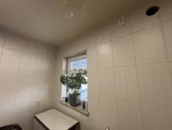 Продам будинок СЕРТИФІКАТ в Камʼянському (бізнес тепличний) фото 2 Продам будинок СЕРТИФІКАТ в Камʼянському (бізнес тепличний) фото 2