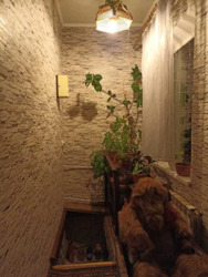 Продам дом на правом берегу. фото 8 Продам дом на правом берегу. фото 8