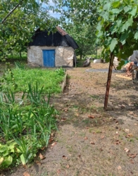 ��������� ��� ���� 1