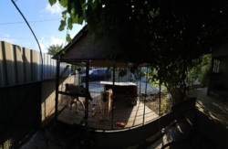 ������ ��� �� ��������� ���� 20