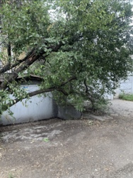 ������ ��� ��� ������� ����� ���� 2