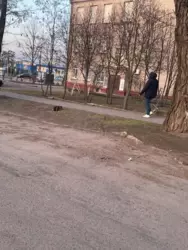 ������ ��� � ��������� ���� 9