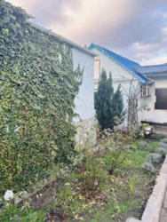 «Просторий будинок у Кам’янському за вигідною ціною». фото 2 «Просторий будинок у Кам’янському за вигідною ціною». фото 2