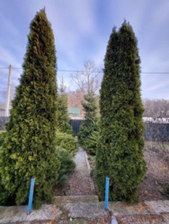 Продам дом с большим земельным участком. фото 18 Продам дом с большим земельным участком. фото 18