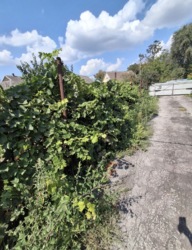 Продается дом в Романково , Сертификат фото 2 Продается дом в Романково , Сертификат фото 2