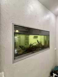 ������ ��� ����� ���� 14