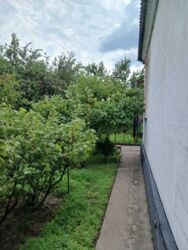 ������ ������ ��� � ������ ������� ���� 19