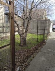 ������� ���� �-� �������! ���� 7