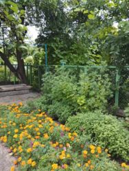 ������ 1/2 ���� ����� 28 �����. ���� 5