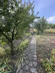 ������ ���� �.� ������ ���� 4