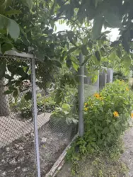 ������ ���/����,������� ����� �/� ��������� ���� 15