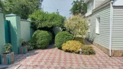 ������ ��� ����� ���� �� ������� ���� 2