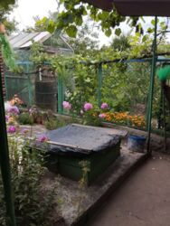 ������ 1/2 ���� ����� 28 �����. ���� 6