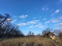 Продам дом с большим земельным участком. фото 6 Продам дом с большим земельным участком. фото 6