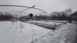 ������ ������� ���. ���� 7