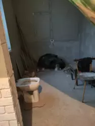 ������ ��� �� �������� ���������� � ������ ��������� ���� 10