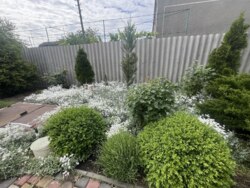 ������� 140 �² �� 25 ������ | 3 ���� �������� | ����� �� 2 ���� | ����, ϒ�������� ���� 6