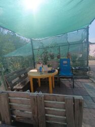 ������ ��� � ������� �� ��������� ���� 7