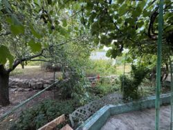 ������ ���� � �� ������� (���������). ���� 4