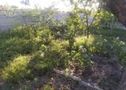 Продается дом в Елизоветовке фото 6 Продается дом в Елизоветовке фото 6