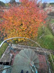 ������ ���� �� ����� ���� 14