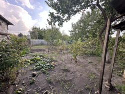 ������ ���� �.� ������� ���� 10